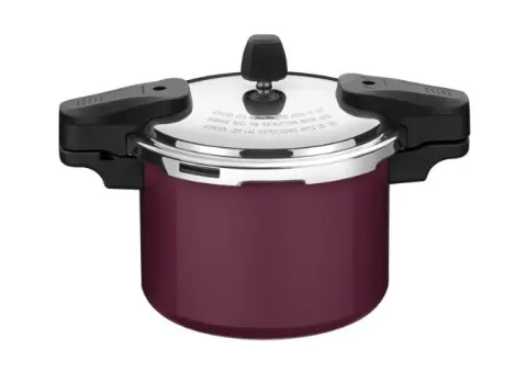 T205582OLLA A PRESIÒN TRAMONTINA TORINO 4,5 L VIOL
