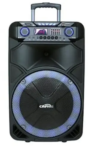 PARLANTE CAFINI CNS6009 15 PULGADAS