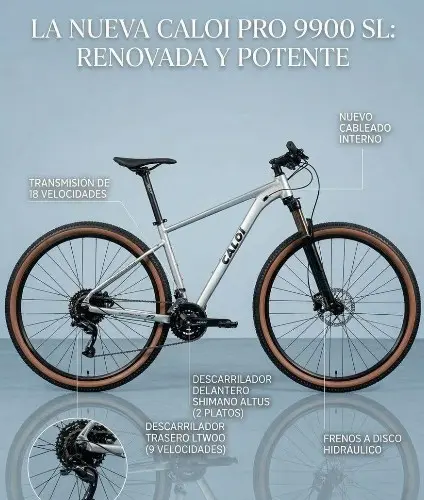 BICICLETA CALOI PRO 9900 SL GRIS - AMORT BRONCE